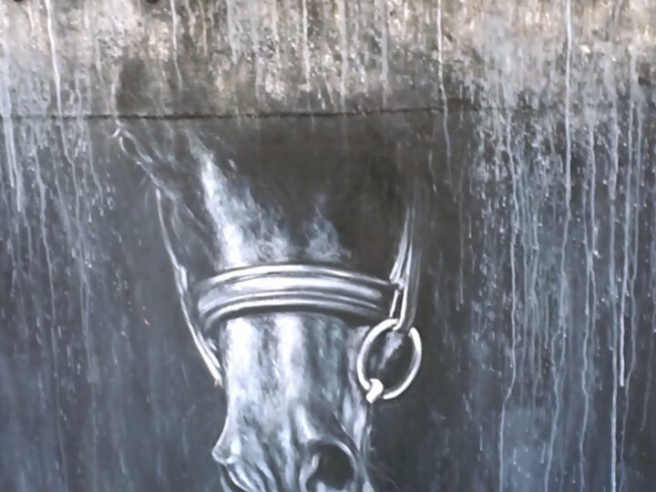 Un puente cultural bajo el signo del Caballo de Fuego