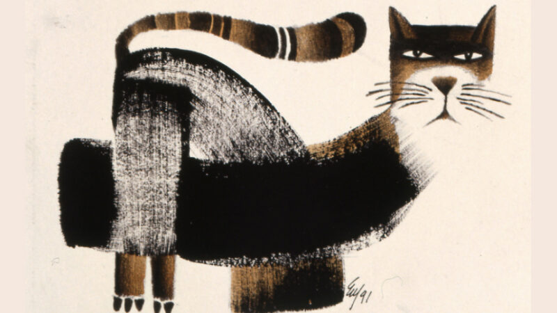 Exposición Quién dijo Miau celebrará protección felina en Cuba