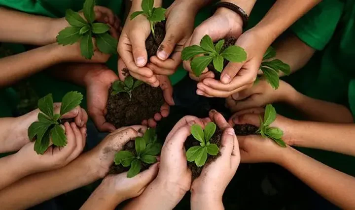 Gotas del Saber, resultados de la estrategia ambiental en Holguín