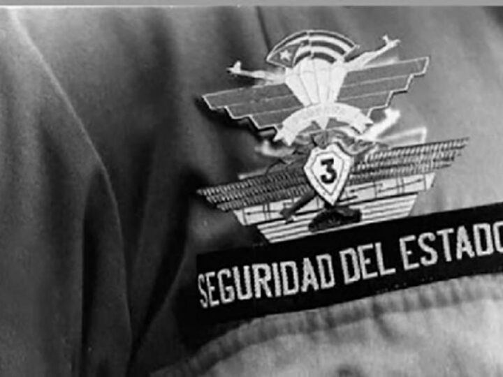 Leales guardianes de la Revolución