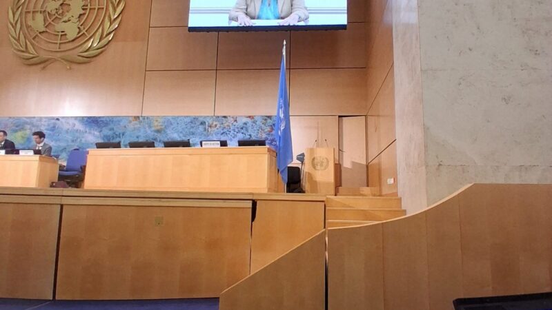 Uneac interviene en Ginebra