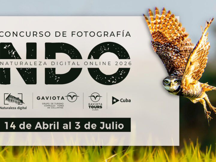 Paisajes, flora y fauna embellecerán certamen internacional