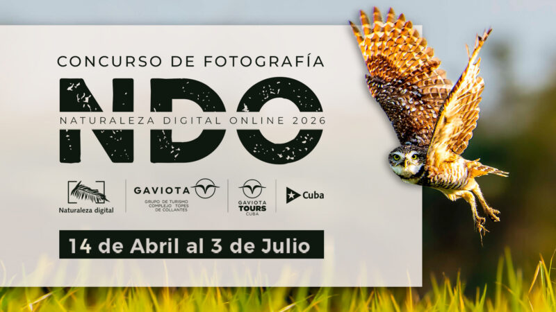 Paisajes, flora y fauna embellecerán certamen internacional