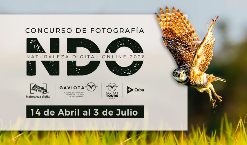 Paisajes, flora y fauna embellecerán certamen internacional