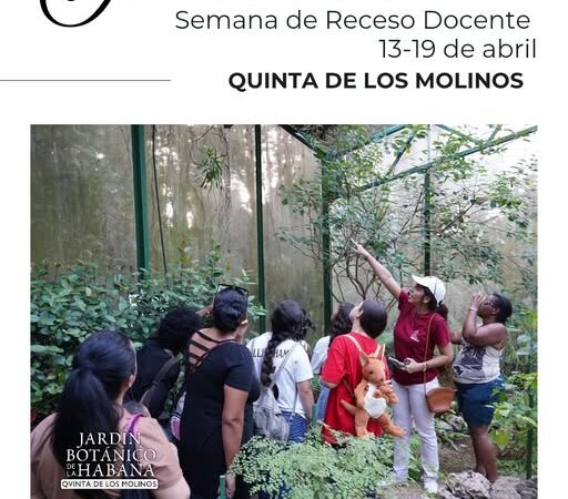 Opciones en la Quinta de los Molinos durante la actual semana de receso docente