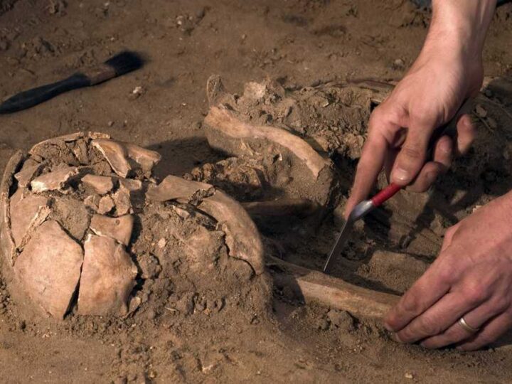 Científico Jorge Calvera Rosés: importantes aportes a la arqueología cubana