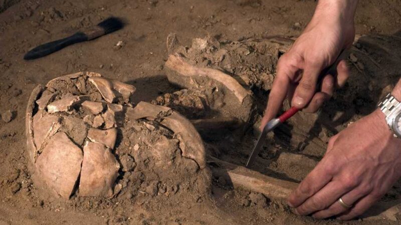 Científico Jorge Calvera Rosés: importantes aportes a la arqueología cubana