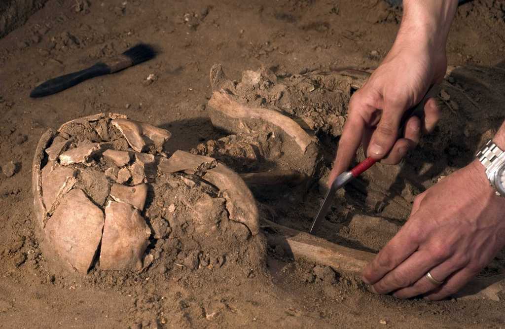 Científico Jorge Calvera Rosés: importantes aportes a la arqueología cubana