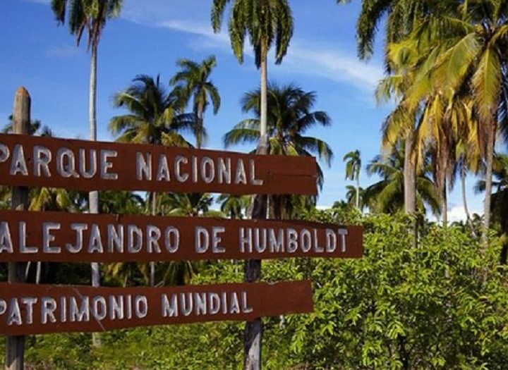 Exposición en Singapur muestra diversidad biológica de Cuba