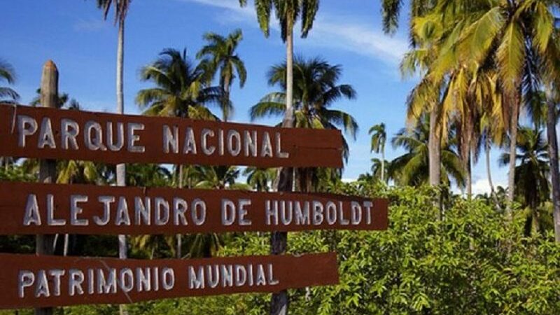 Exposición en Singapur muestra diversidad biológica de Cuba