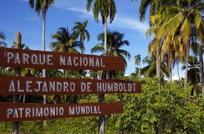 Exposición en Singapur muestra diversidad biológica de Cuba