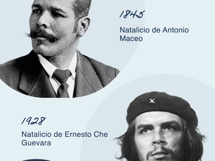 Gigantes de la historia, guías permanentes
