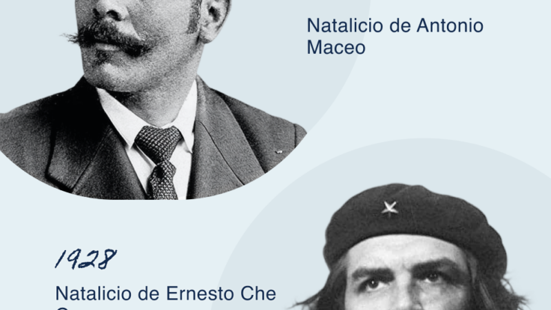 Gigantes de la historia, guías permanentes