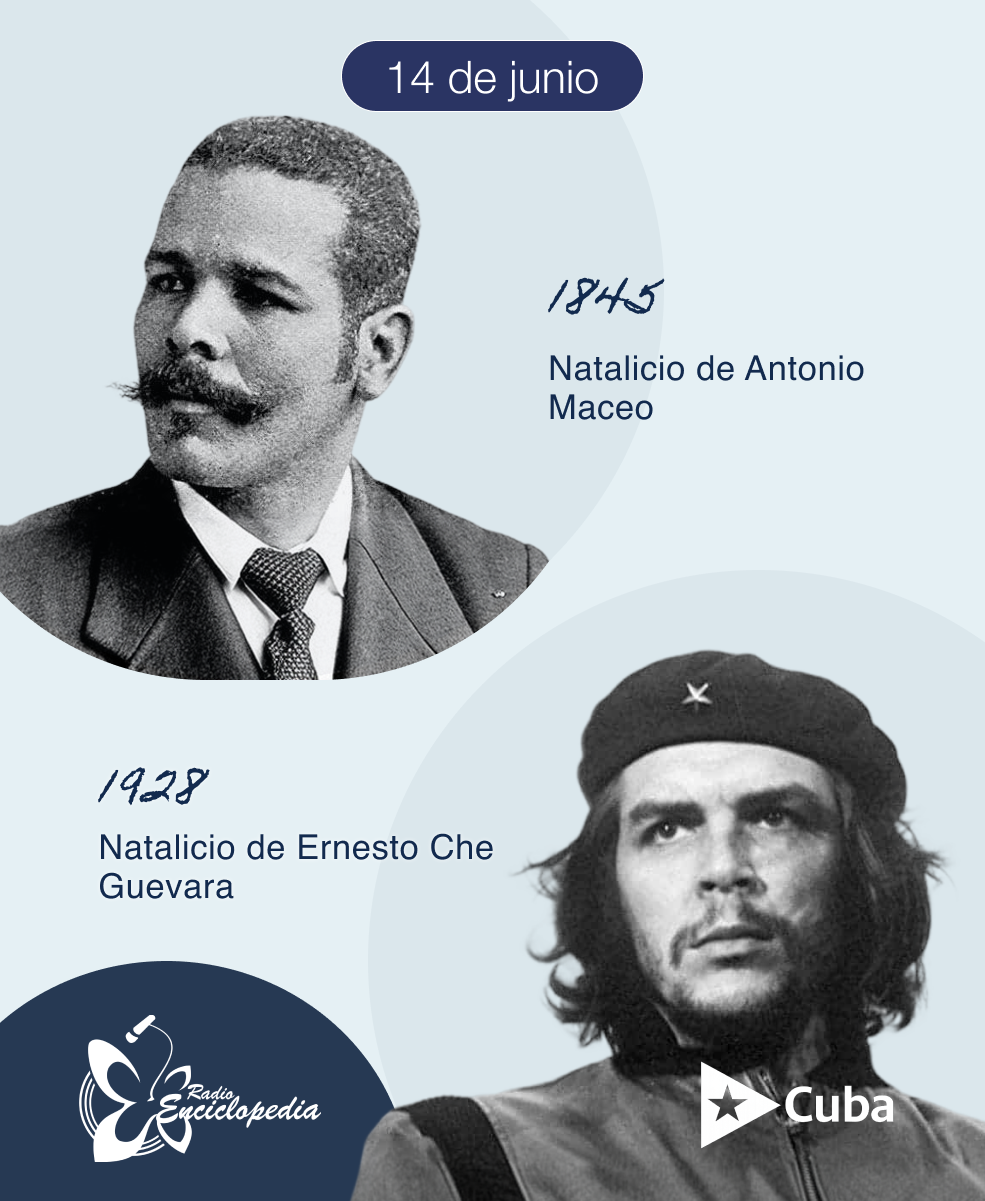 Gigantes de la historia, guías permanentes