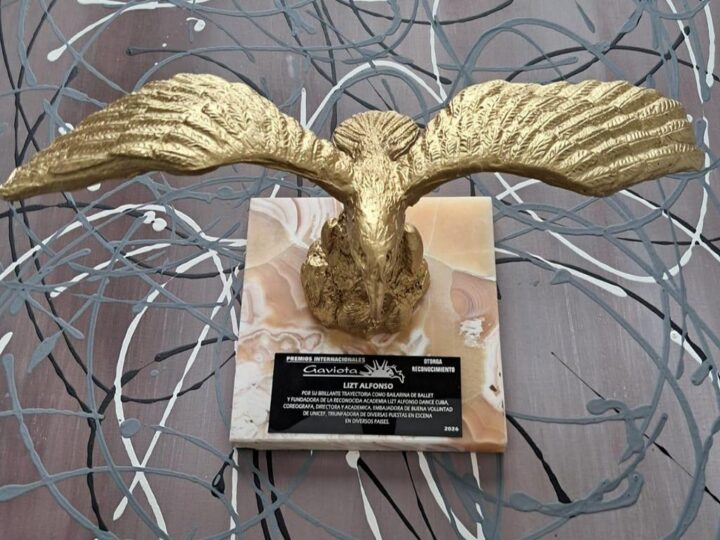 Distinguen a Lizt Alfonso con el Premio Internacional Gaviota