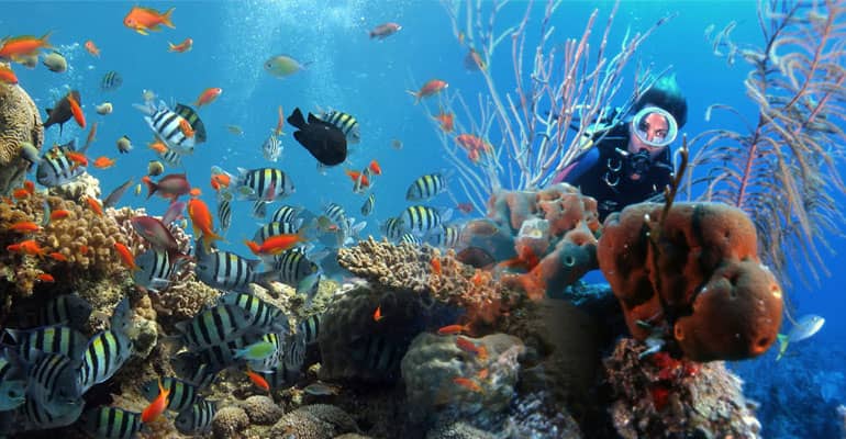 Centro de buceo en el Acuario Nacional de Cuba