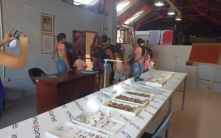 Atractiva iniciativa del Museo Provincial de Matanzas Palacio de Junco para este verano