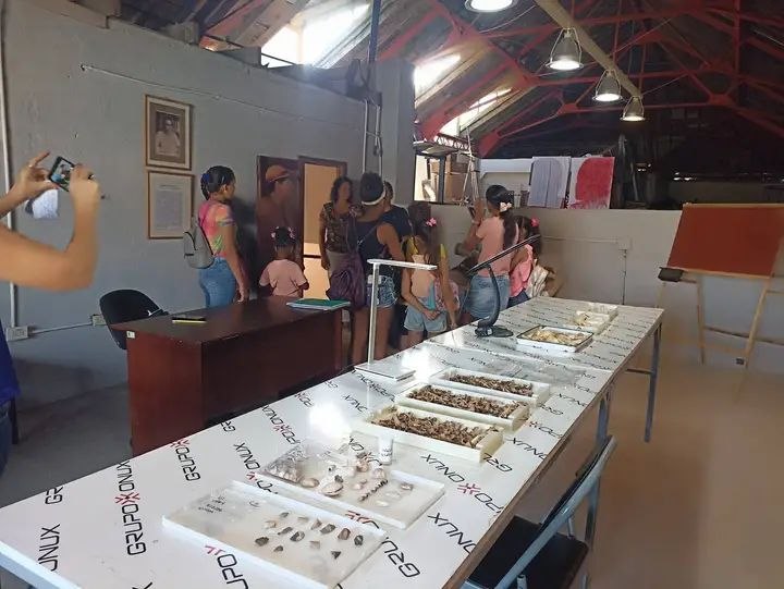 Atractiva iniciativa del Museo Provincial de Matanzas Palacio de Junco para este verano