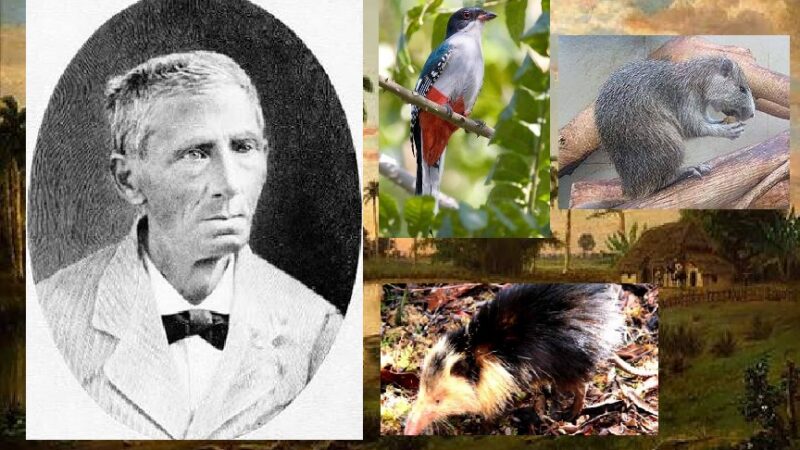 Juan Cristóbal Gundlach: el arquitecto de la zoología cubana