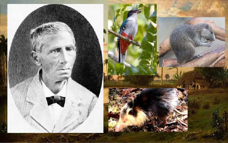 Juan Cristóbal Gundlach: el arquitecto de la zoología cubana