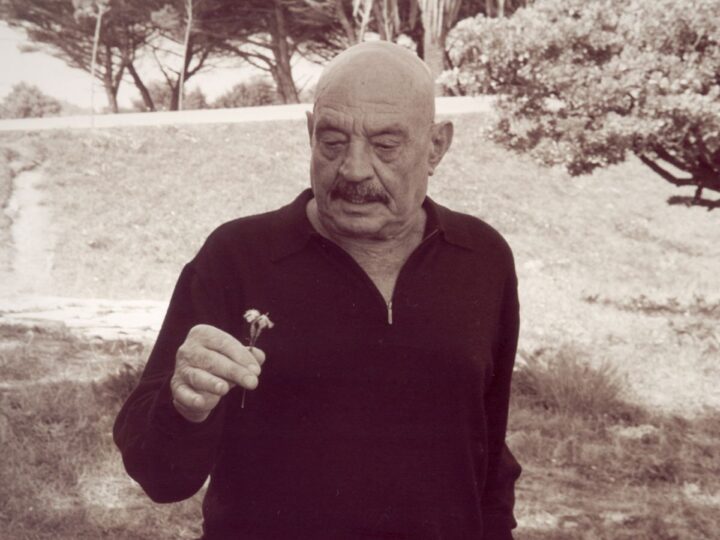 Los versos del español José Hierro en La poesía toda