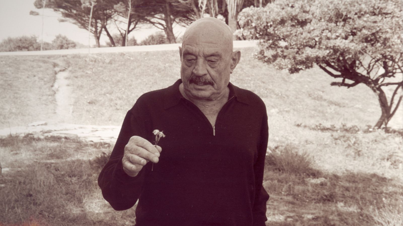 Los versos del español José Hierro en La poesía toda