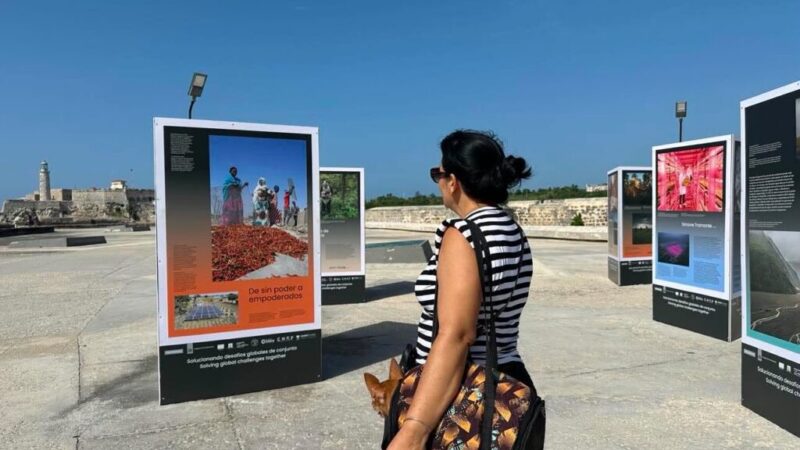 Con los pies en la Tierra: Cambio climático y futuros climáticos en la Explanada del Castillo de la Punta