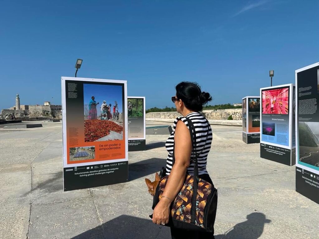 Con los pies en la Tierra: Cambio climático y futuros climáticos en la Explanada del Castillo de la Punta