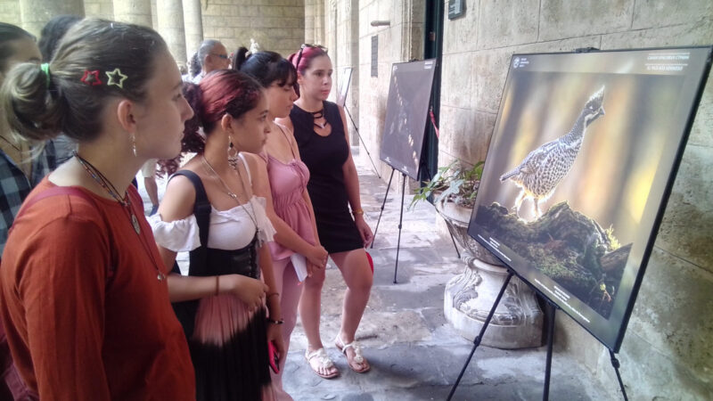 Acoge centro histórico habanero muestra del paisaje, la flora y la fauna rusa