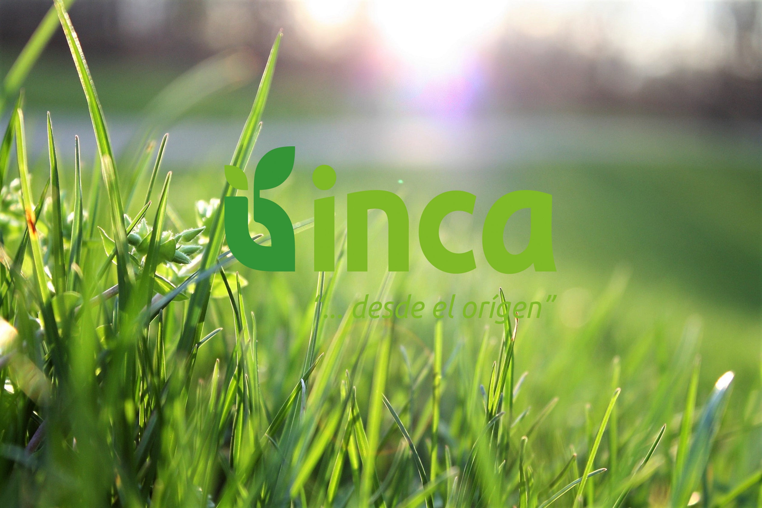 Gotas del Saber, proyectos del Instituto Nacional de Ciencias Agrícolas