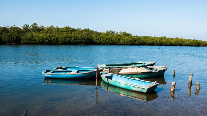 Planeta Tres, proyecto Mi Costa