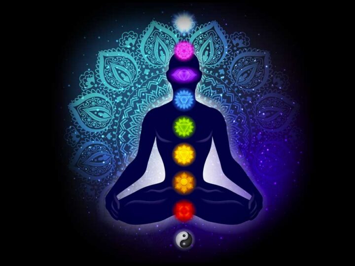 Darle vida a la vida, Chakra II