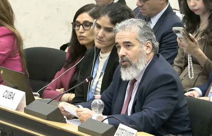 Intervino Cuba en ONU sobre proyectos de educación y afrodescendientes