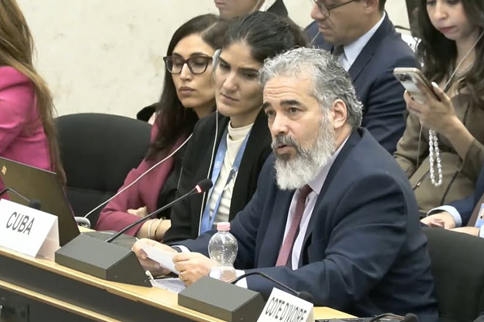 Intervino Cuba en ONU sobre proyectos de educación y afrodescendientes