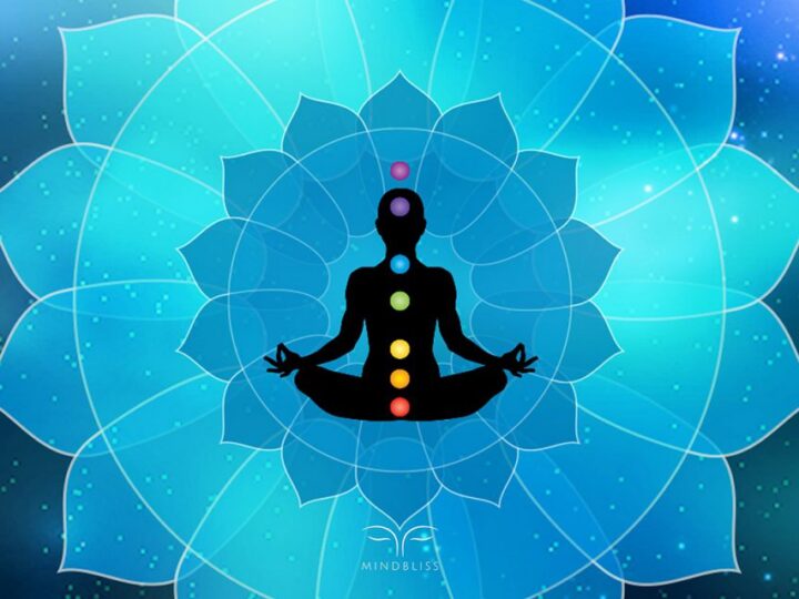 Darle vida a la vida, Chakra V y VI