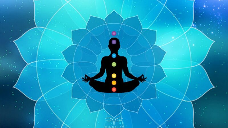 Darle vida a la vida, Chakra V y VI